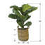 36'' Faux Fiddle Leaf Fig Plant in Wicker/Rattan Basket
