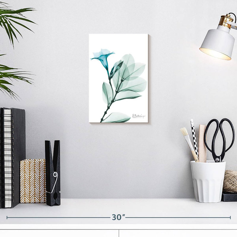 Harnek Aqua Mandellia, 12" H x 8" W