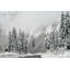 Reproduction d’art sur toile tendue "winter wonderland" par robin-16276666