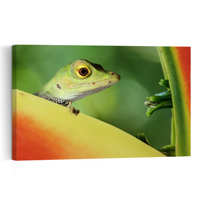 Curious Green Lizard Colorful Vibrant Lizard Nature Plant Wall Art Print by Jimmy Hoffman - Print
