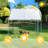 Chicken Coop