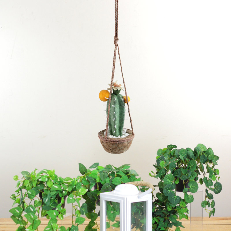Cactus suspendu vert et orange 8,5 po avec fleurs