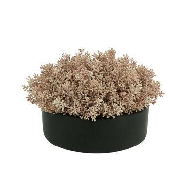 Seeded Eucalyptus Arranged in a Fiberstone Pot
