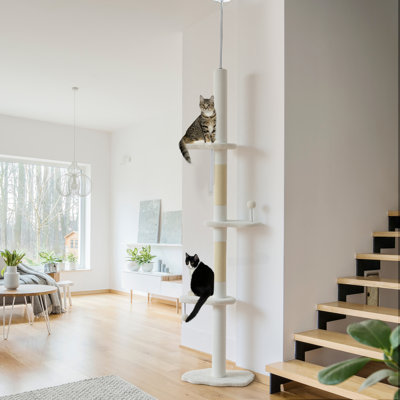 Cat Tree