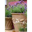 Cremont Handmade Pot Planter-16197646