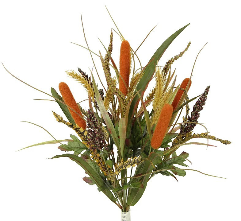 Arrangement de récolte d'automne, Cannelle