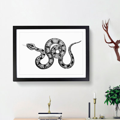 Boa Constrictor Snake in Black and White by George Shaw - Picture Frame Drawing Print
