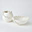 Ceramic / Porcelain Table Vase