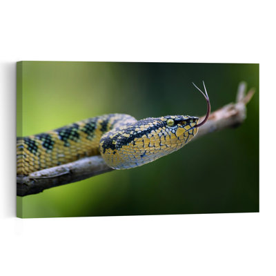 Yellow Viper'S Tongue Abstract Contemporary Snake Forest Landscape Wall Art Print 1 Piece Wrapped Canvas Wall Art