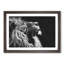 Majestic Lion Illustration - Picture Frame Graphic Art Print-56859601-56859600