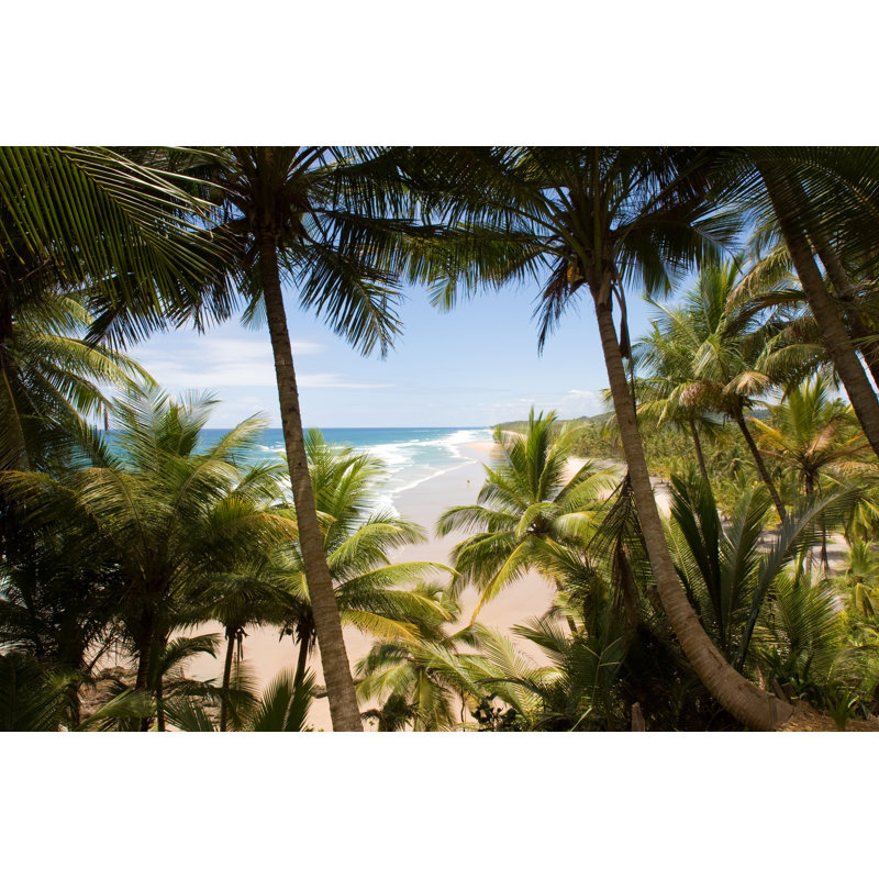 Plage tropicale par Richmatts, H 32 po x l 48 po