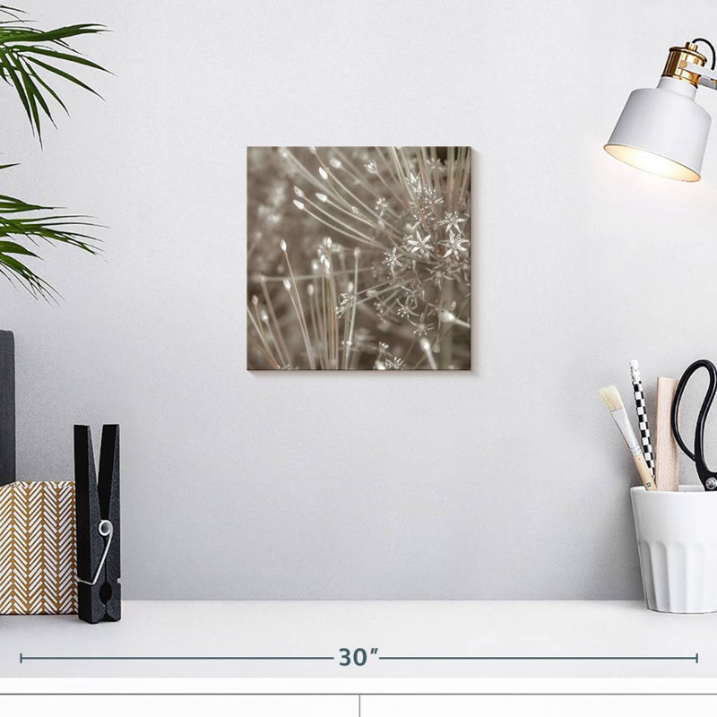 Harnek argent alliums