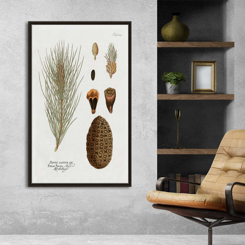 Pin botanique - Peinture, L 27,5 po x H 43,5 po, Encadrement brun