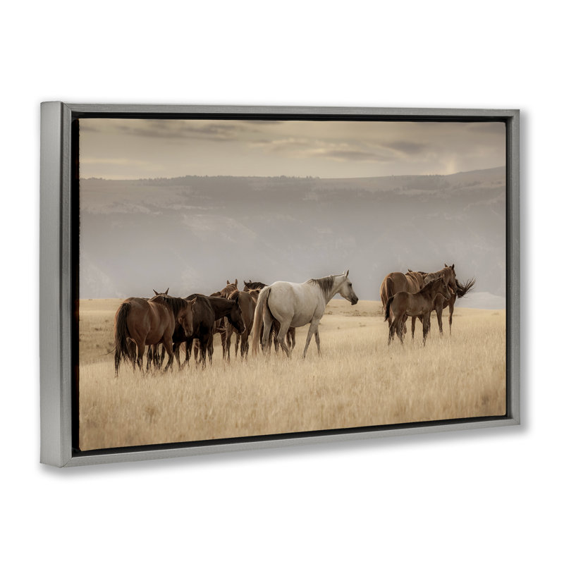 Cadre flottant équestre Montana Herd, design par Christy Berry, H 17 po x l 25 po, Cadre flottant gris lustré