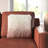 Winson Genuine Sheep Skin Throw Pillow-110521977-26242814
