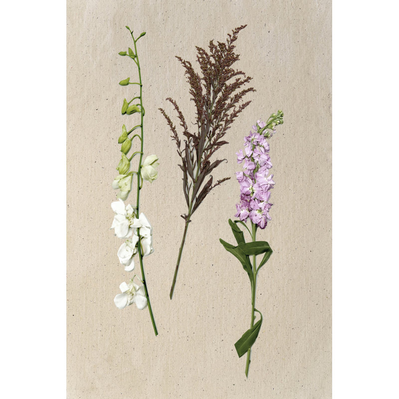 Pretty Pressed Flowers IV by Melissa Wang - Wrapped Canvas Painting, 46cm H x 30cm W x 3.8cm D