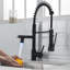 Fapully Pull Down Kitchen Faucet-61611593