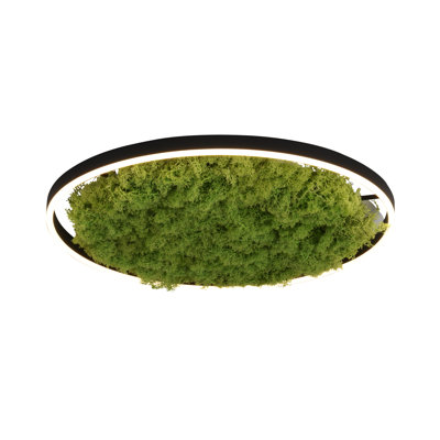 5-Light 35cm Flush Mount