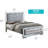 Sleek Silver Champagne Contemporary Bed(Only Bed)