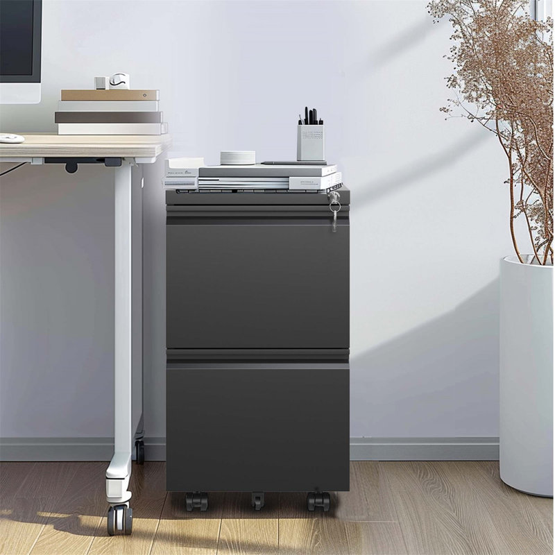2 Drawer Mobile File Cabinet with Lock and Removable Hanging File Bar, Fully Assembled Except Wheels, Black