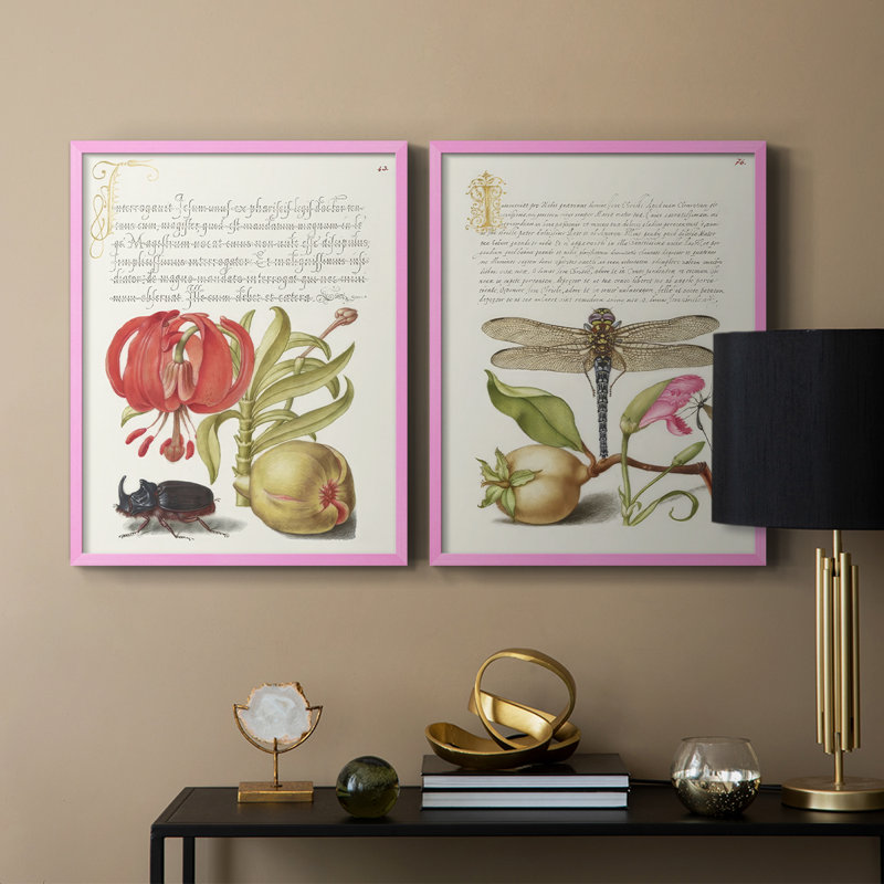 Reproduction encadrée Hoefnagel de spéculations tropicales de qualité supérieure - prêt à accrocher - aucun clou requis, Rose