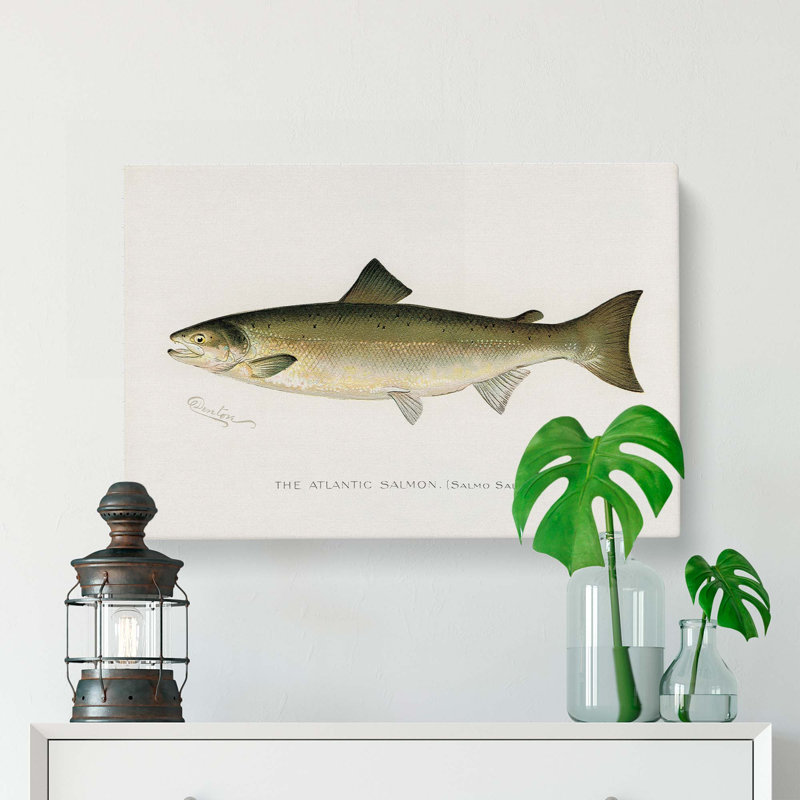 Atlantic Salmon by Sherman F. Denton - Wrapped Canvas Painting, 35cm H x 50cm W x 3cm D