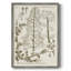 «Sépia Botanical Journal», reproduction encadrée en bois massif-565164953