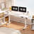 Adjustable Standing Desk, Whole-Piece Desktop-1698519403-1618947437