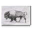 « Wild bison Study II », reproduction d’art sur toile tendue-925442317