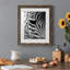 Zebra Colt - Photographie avec cadre photo-1635737486-1635583822