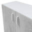 Ramsdale 2 -Door 1 -Shelf Storage Cabinet