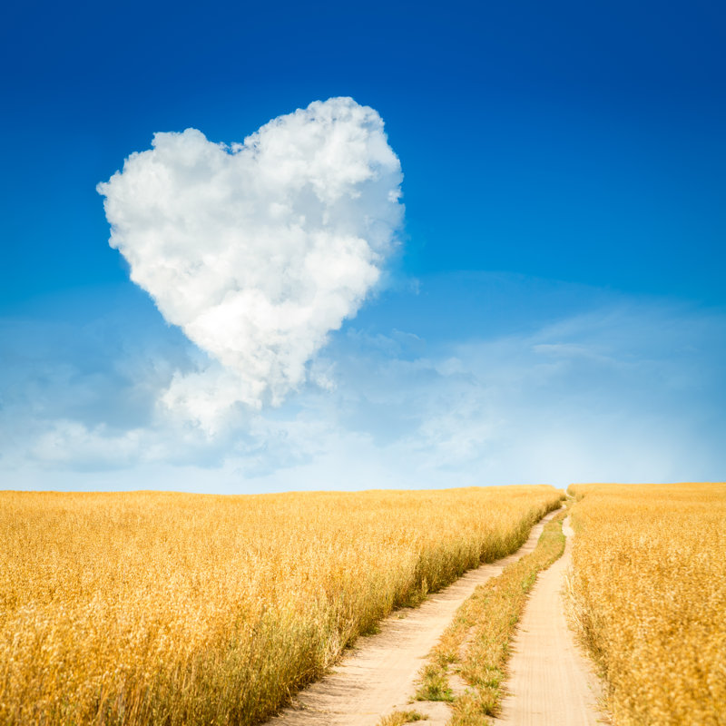 Heart Shaped Cloud - Wrapped Canvas Print, 91cm H x 91cm W x 3.8cm D