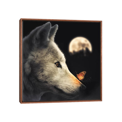 " The Wolf & Glowing Butterfly " Color Photography Print