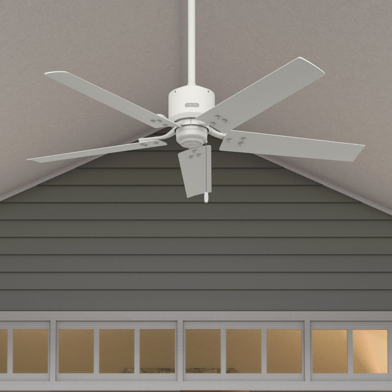 52" Windbound 5 - Blade Damp Rated Ceiling Fan with Pull Chain