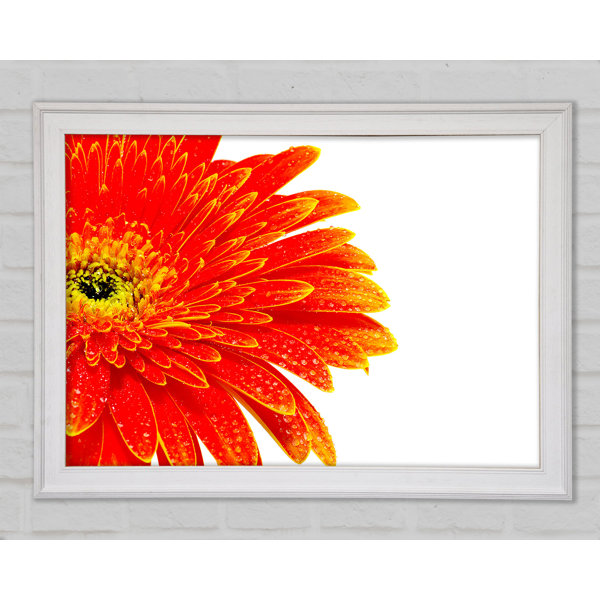 Ebern Designs Lava Petals - Single Picture Frame Art Prints | Wayfair.co.uk