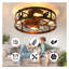 Ventilateur de plafond en cage de 20 pouces avec lumière noire, ventilateur de plafond encastré Farmhouse, petit luminaire de ventilateur de plafond réversible pour le salon de la chambre à coucher (comprend 5 ampoules E26)