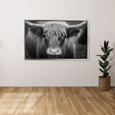 "Cow Nose BW" by Nathan Larson Print on Canvas in a  Floater Frame