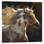 Spirit Horse 1 Piece Wrapped Canvas Wall Art-69742017-101336270