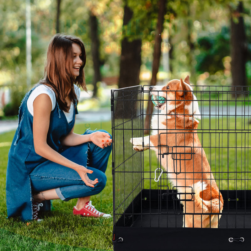 Foldable Black Metal Dog Playpen with Waterproof Bottom Pad