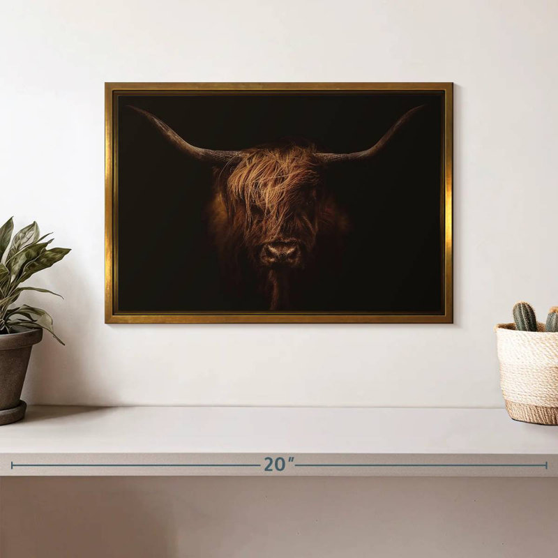 Belle vache Highland, Cadre flottant doré, 13 po x 9 po