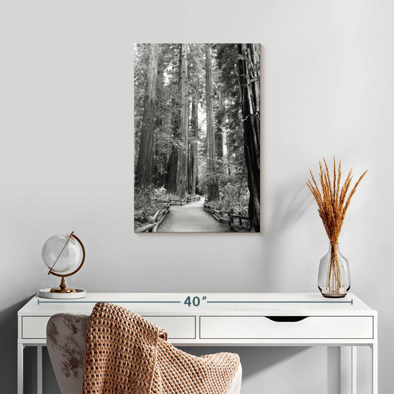 Alvord Tree Path I, H 24 po x l 16 po