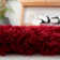 Shortt Shag Hand Tufted Performance Solid Color Rug