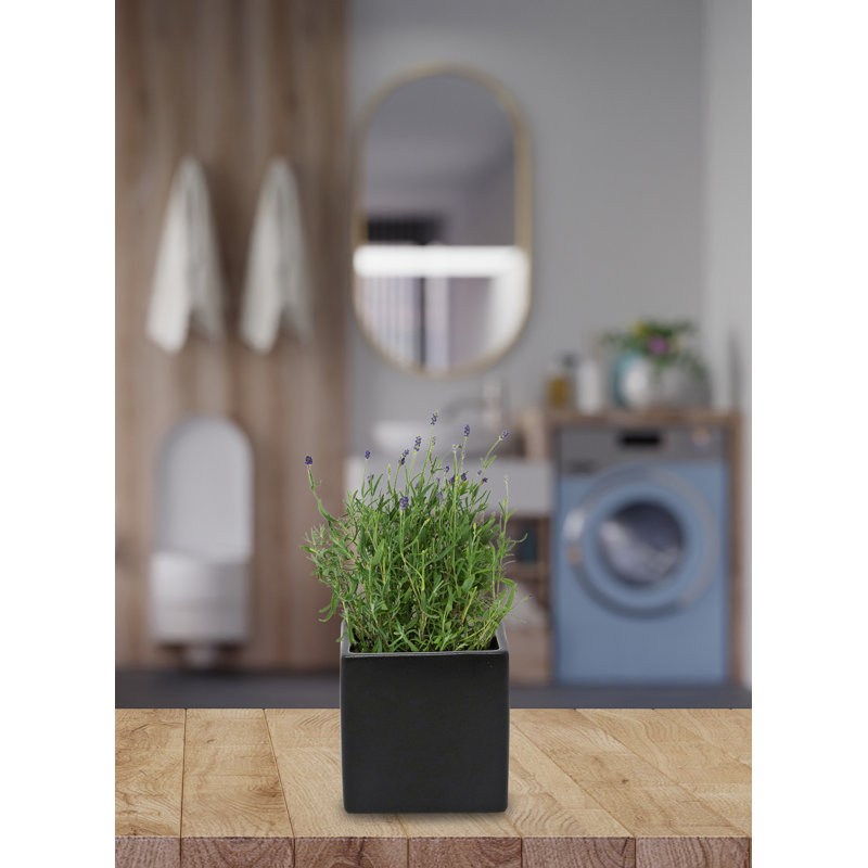 Ensemble de vases de table 4 pièces Nafisha
