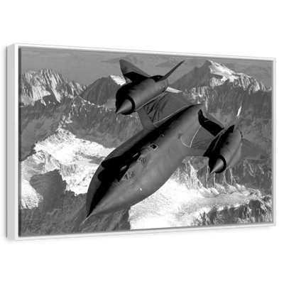 SR-71 merle
