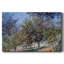 Apple Trees on the Chantemesle Hill, 1878-Gallery Wrapped Canvas-763222388