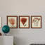 Antique Red Coral IV - Ensemble de 3 peintures sur toile encadrées-1301298115-1301298112
