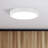 Leitner 1 LED Flush Mount Light – Modern Minimalist Design, Flicker-Free Illumination, Low-Profile, Perfect for Apartments, Lofts, and Small Spaces-32967556-78574859
