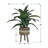 Callender 24'' Faux Dracaena Plant in Wicker/Rattan Basket
