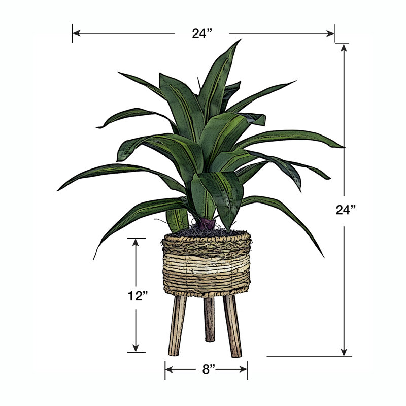 24-Inch Faux Dracaena Plant in Tri-Color Wicker Basket