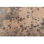 Tapis beige Legacy 2 pi 6 po x 12 pi 3 po